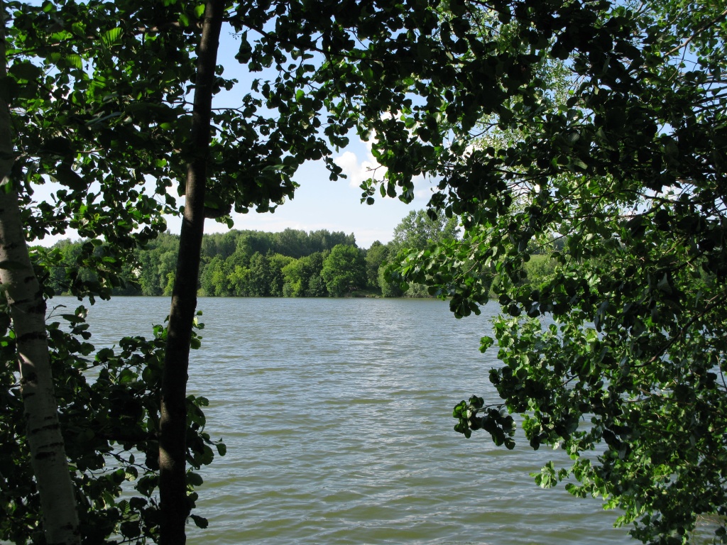 IMG_4864.jpg